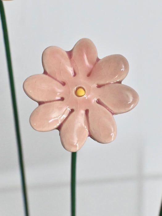 Germini Cute Money Gift