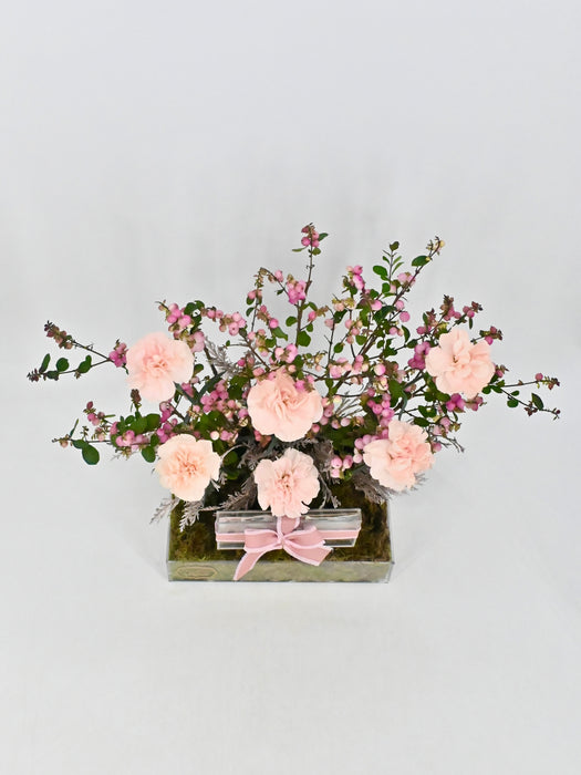 Novia Berry Money Garden