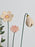 Germini Cute Money Gift