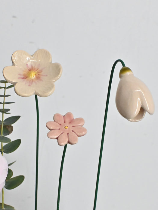 Germini Cute Money Gift