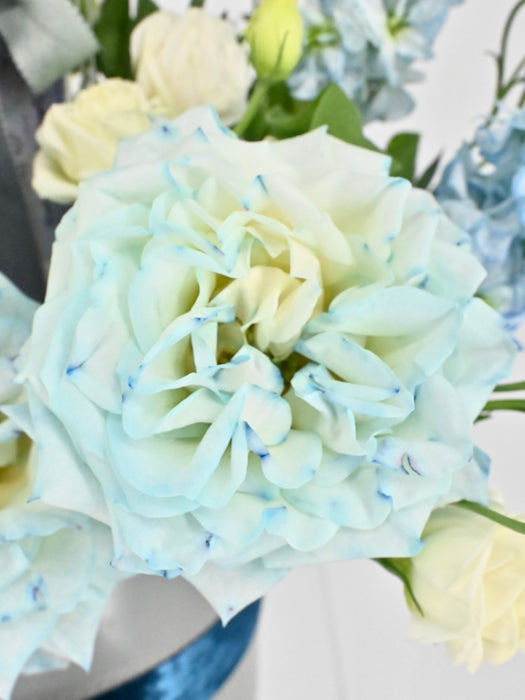 Elegant Blue Bliss
