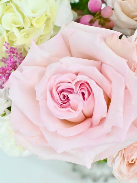Pink Sympho