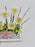 Manali Money Arrangement