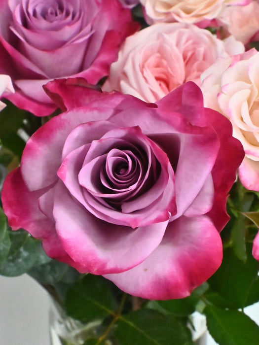 Avianna Blooms