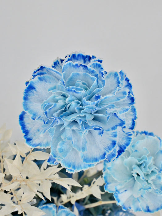 Cerulean