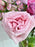 Avianna Blooms