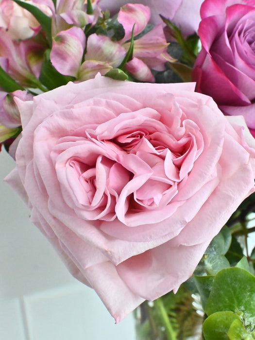 Avianna Blooms