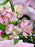Avianna Blooms
