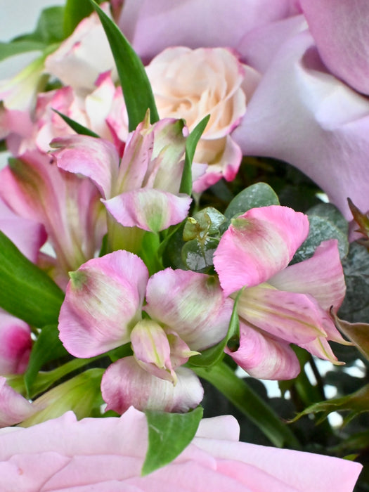 Avianna Blooms