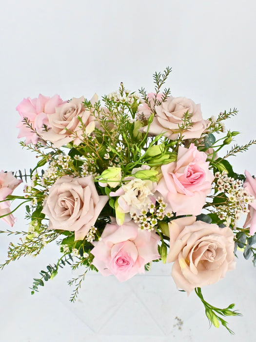 Elegant Blush