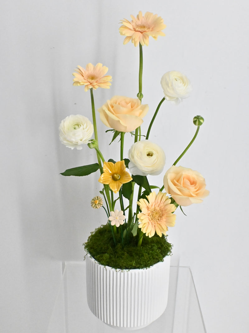 Avalanche Flower Garden with Money Box