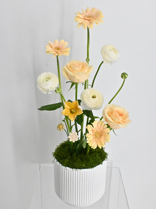 Avalanche Flower Garden