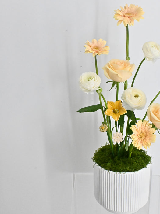 Avalanche Flower Garden with Money Box