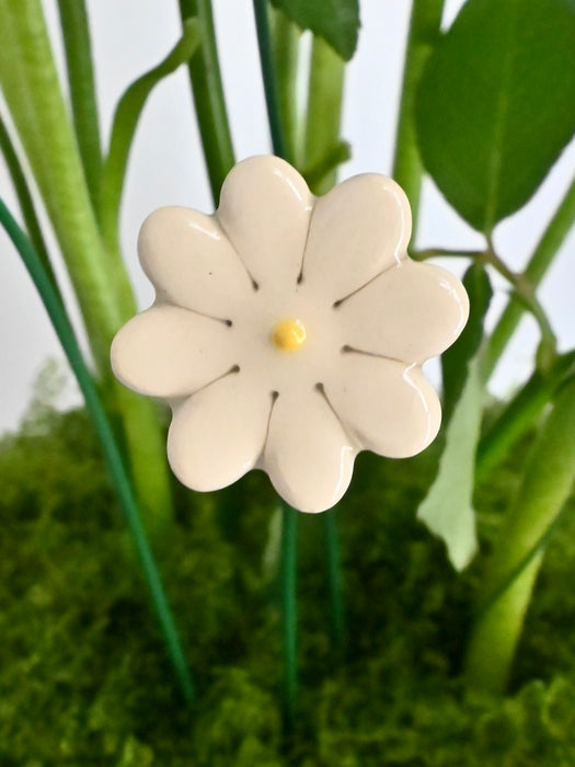 Avalanche Flower Garden with Money Box
