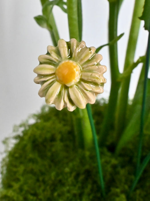 Avalanche Flower Garden with Money Box