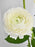 Avalanche Flower Garden with Money Box