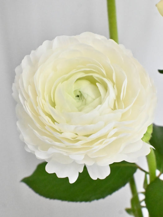 Avalanche Flower Garden with Money Box