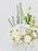 White Luxe