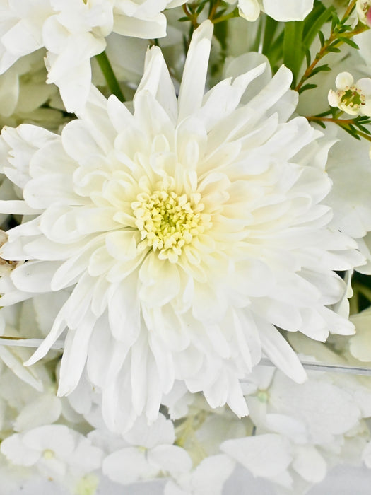 White Luxe