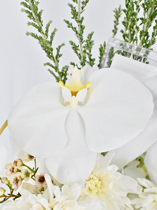 White Luxe