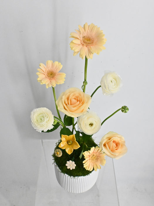 Avalanche Flower Garden with Money Box
