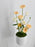 Avalanche Flower Garden with Money Box