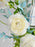 Seren Sky Floral