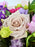 Blushing Harmony Bouquet