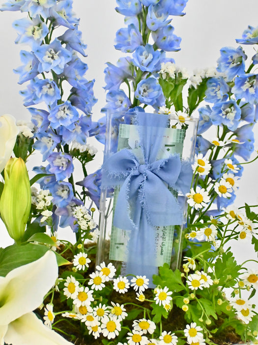 Lily Delphy Money Garden