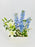 Lily Delphy Money Garden