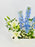 Lily Delphy Money Garden