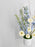 Azur Money Gift