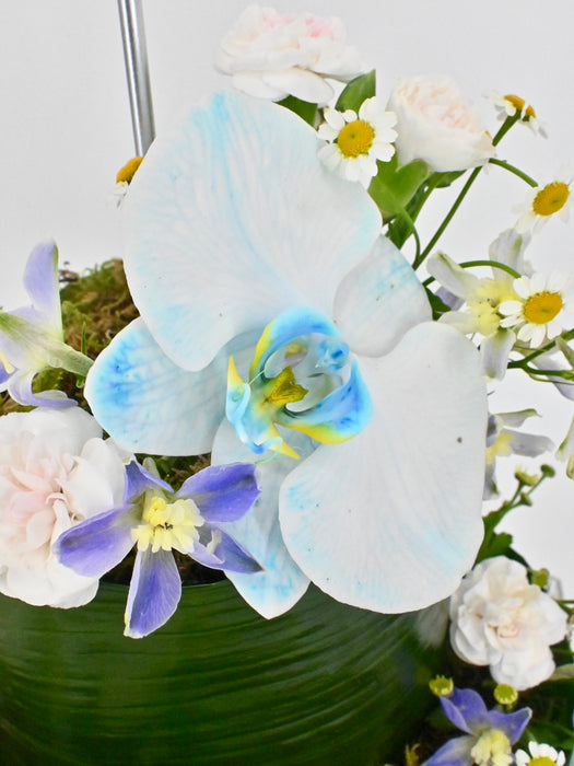 Floral Celebration Cake