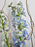 Azur Money Gift