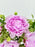 Lovely Peony