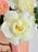 Sweet Peach Bouquet