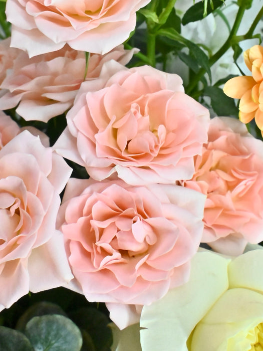 Sweet Peach Bouquet