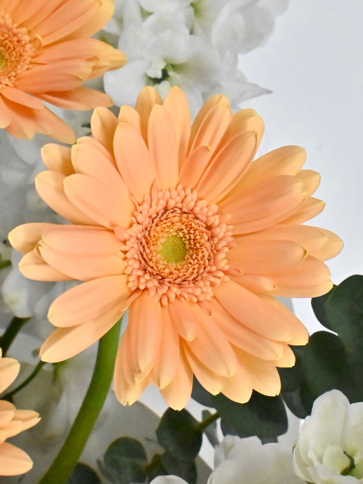 Sweet Peach Bouquet