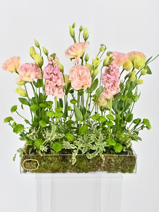 Garden Meadow Money Arrangement