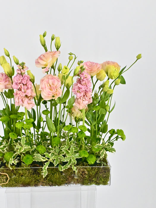 Garden Meadow Money Arrangement