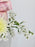 Pink Playfull Art Deco Floral Arrangement