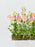 Garden Meadow Money Arrangement