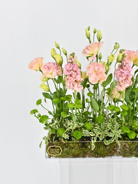 Garden Meadow Money Arrangement