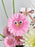 Pink Playfull Art Deco Floral Arrangement