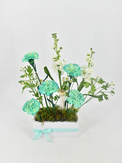 Cute Money Arrangement