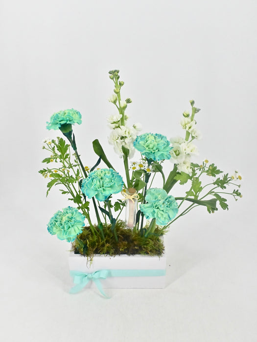 Cute Money Arrangement