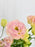 Garden Meadow Money Arrangement