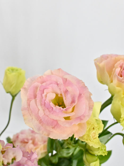 Garden Meadow Money Arrangement