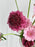 Pink Playfull Art Deco Floral Arrangement