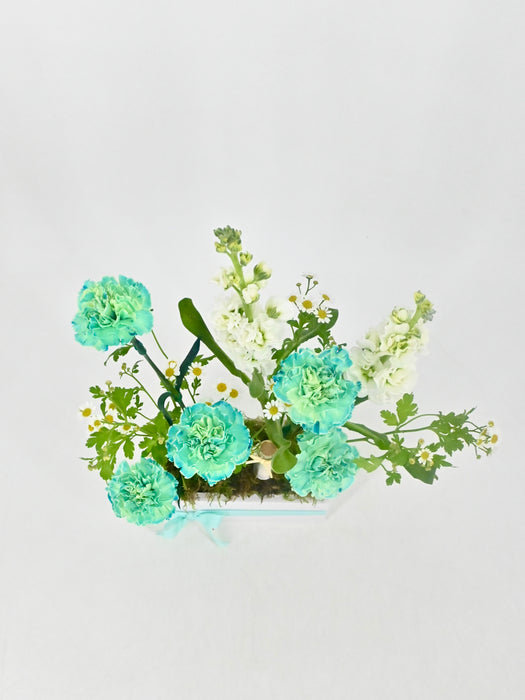 Cute Money Arrangement
